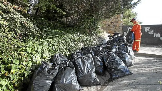 Decenas de sacos con basura procedente del botellón, amontonados en la ladera bajo el viaducto.