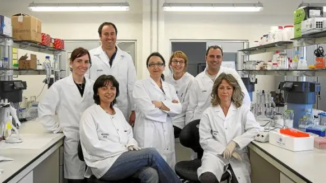 El equipo de investigadores del CITA.