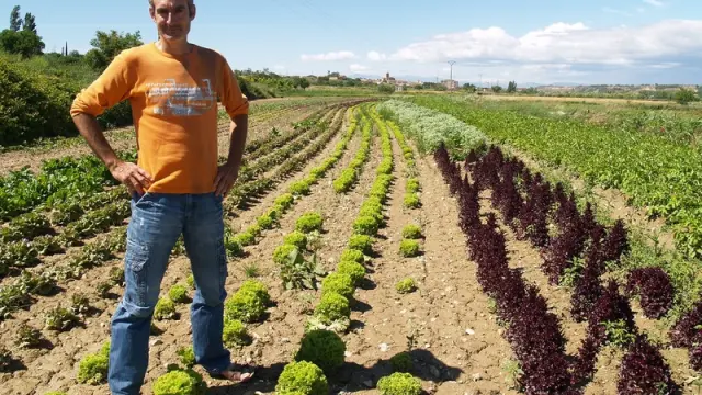 Felix Ballarín, agricultor ecológico, en su huerto de Sariñena.