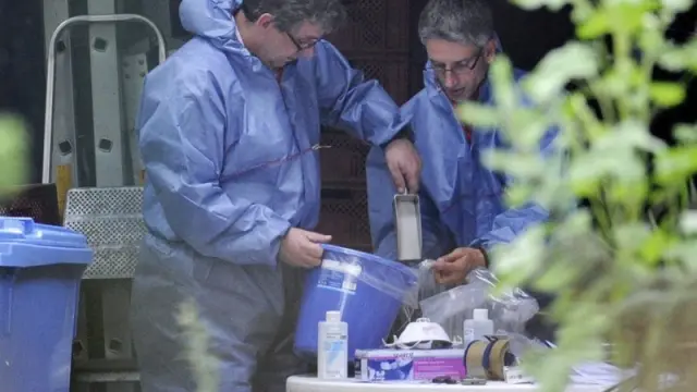 Varios trabajadores toman muestras de verduras para analizar la presencia de 'E.coli'.