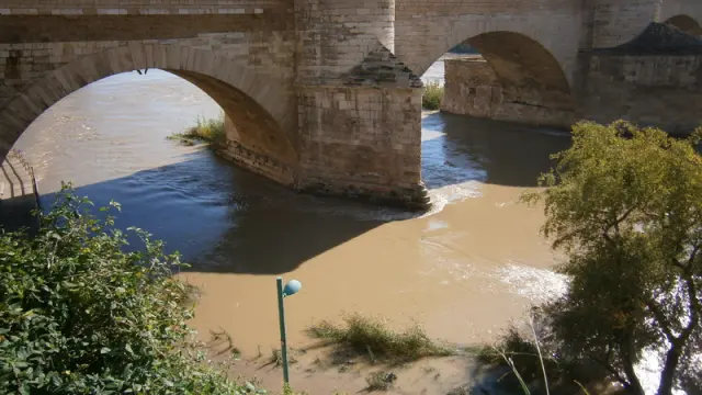 Las últimas lluvias han hecho aumentar el caudal en el río Ebro a su paso por Zaragoza