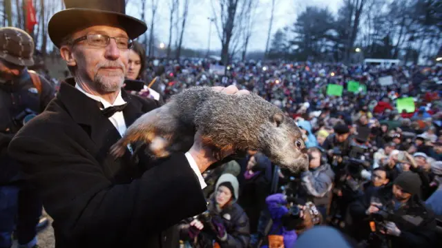 La marmota Phil despierta prediciendo más invierno