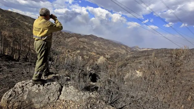 Un brigadista forestal observa la zona quemada