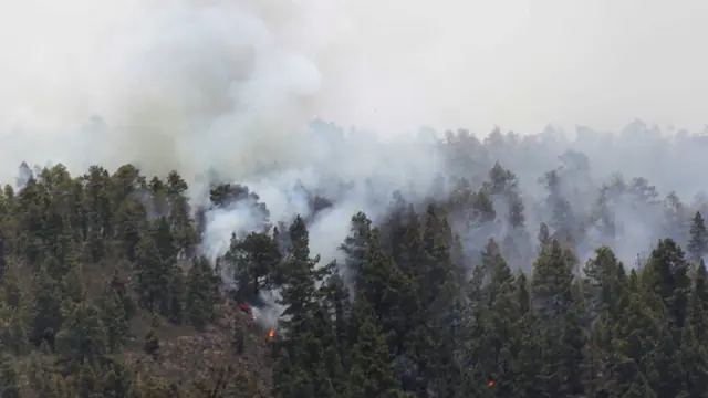 El fuego ya ha afectado a importantes zonas naturales