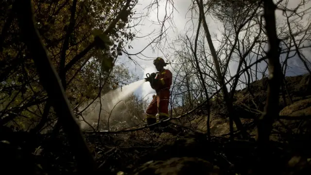 Un bombero trabaja para extinguir el fuego en Ojén.