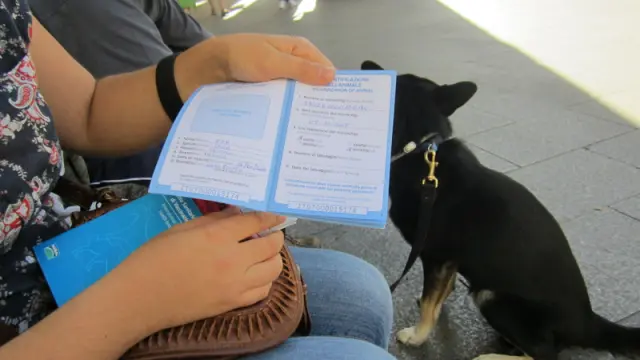 Una mascota con pasaporte italiano.