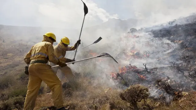 El incendio del Mocayo, entre Calcena y Trasobares, quemó 3.500 hectáreas en cinco días