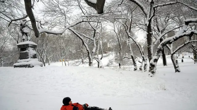 Central Park cubierto por una densa capa de nieve