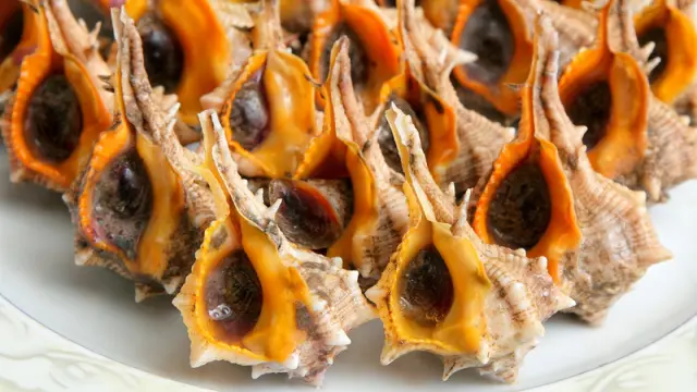 Cañaillas: el molusco con textura de carne y sabor a mar