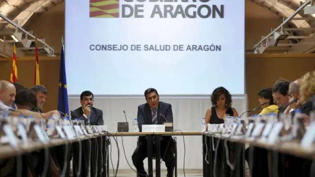 El consejero Oliván en una reunión del Consejo de Salud de Aragón