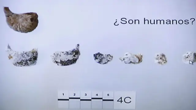 Imagen de los restos óseos que se ha mostrado en el juicio contra Bretón
