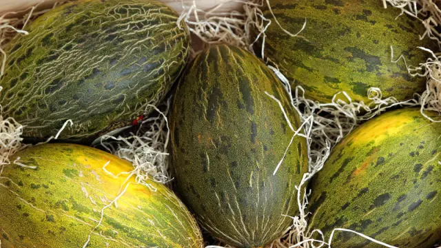 El melón es uno de los frutos más consumidos por los aragoneses en verano