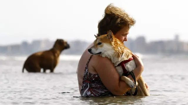 Una mujer se baña en el mar con su perro en El Campello