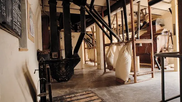 Dentro de la Maltería se puede admirar la valiosa maquinaria de madera, accionada por poleas de cinta, destinada a limpiar, seleccionar y calibrar la cebada.
