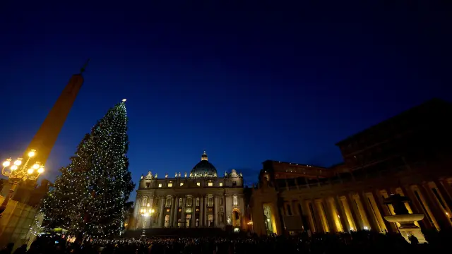 El abeto que ilumina el Vaticano