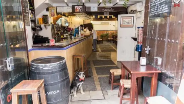 Un bar de Sevilla que permite la entrada de perros