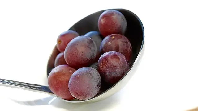Uvas de garnacha