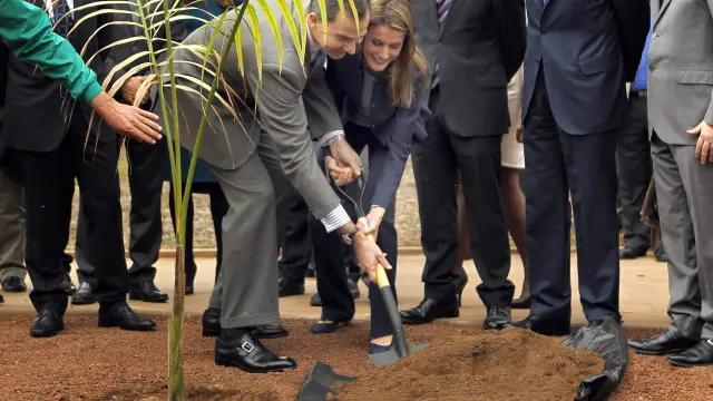 Los Príncipes de Asturias, Felipe y Letizia, plantan una palmera