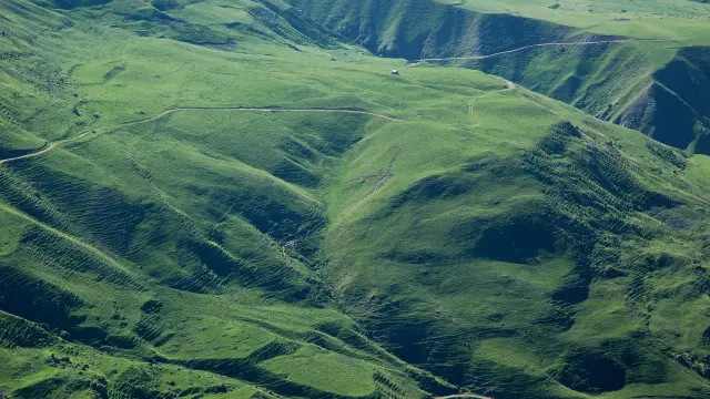 Pastos del Valle de Castanesa