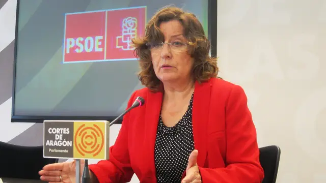 María Victoria Broto, portavoz socialista en Servicios Sociales.