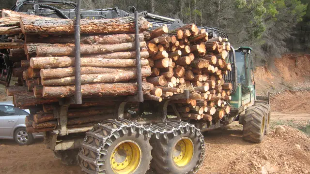 Transporte de madera en Tosos