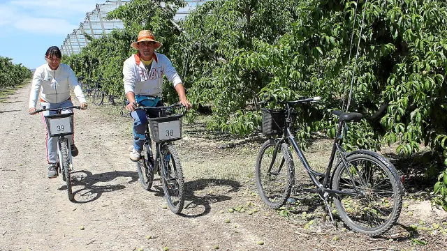 Andrea Pavel y su marido, Mircea, en las bicicletas con las que se mueven por la finca.