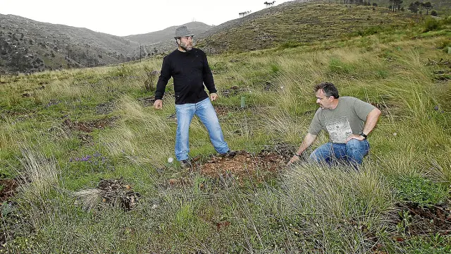 Los alcaldes de La Zoma y Montalbán, Juan Membrado ?izda.? y Javier Navarro, en una finca reforestada.