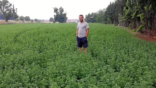 Ángel Forcada, joven agricultor de 27 años, en los campos de alfalfa que cultiva en la localidad zaragozana de San Mateo de Gállego