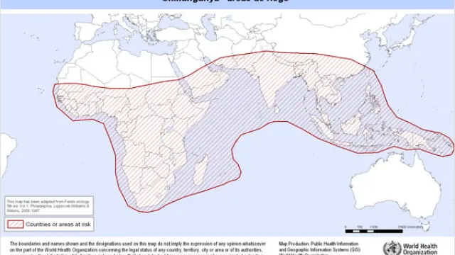 La fiebre chikungunya se ha detectado en casi 40 países de Asia, África, Europa y las Américas.