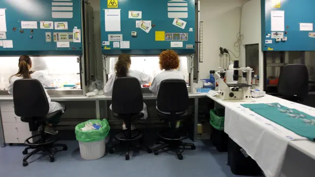 Un laboratorio en pruebas del primer gel microbicida que podría prevenir la transmisión sexual del VIH.