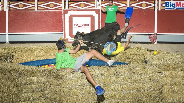 Durante un concurso del Gran Prix de Quinto, la vaquilla aprovechó un momento de descuido para saltar dentro de la piscina.