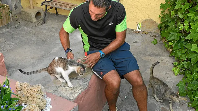 Un vecino del Callejón del Gato atiende a dos de los muchos felinos que se concentran allí.