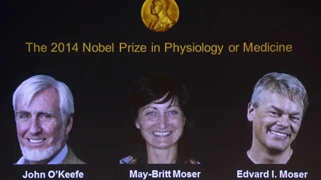 Ganadores del premio Nobel de Medicina en 2014.
