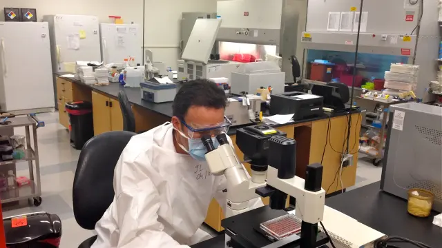 El virólogo español Juan Lama lleva más de 18 años trabajando como investigador en San Diego (EE. UU.).