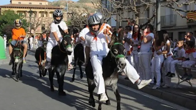 Carrera de burros en Fraga