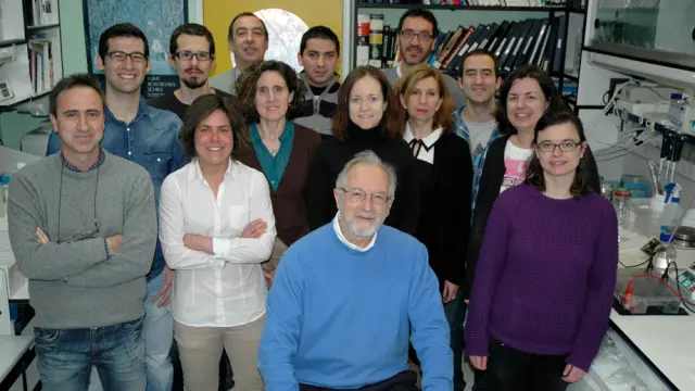 Luis Enjuanes, profesor del Centro Nacional de Biotecnología, y su equipo.