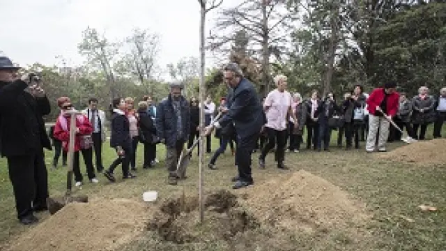 Juan Alberto Belloch ha participado en la plantación de los dos árboles
