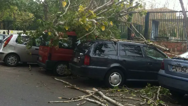 Un árbol aplasta dos vehículos en el barrio de las Delicias