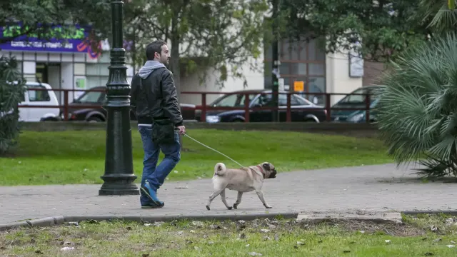 El Ayuntamiento utilizará el ADN canino para multar a quienes no recojan las heces