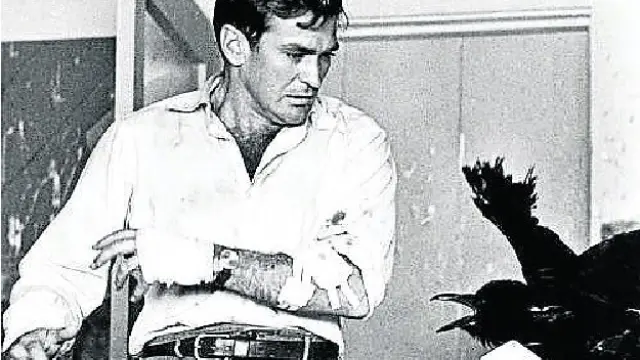Rod Taylor, en una escena de 'Los pájaros', de Alfred Hitchcock.