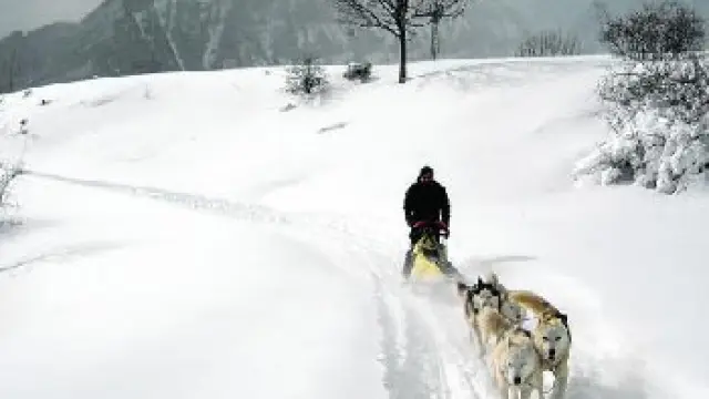Pilotar por la nieve un trineo tirado por perros es posible en Formigal.