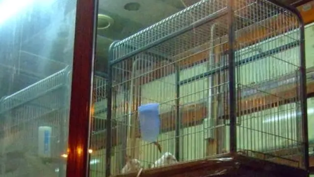 Imagen de archivo de un escaparate de una tienda de animales