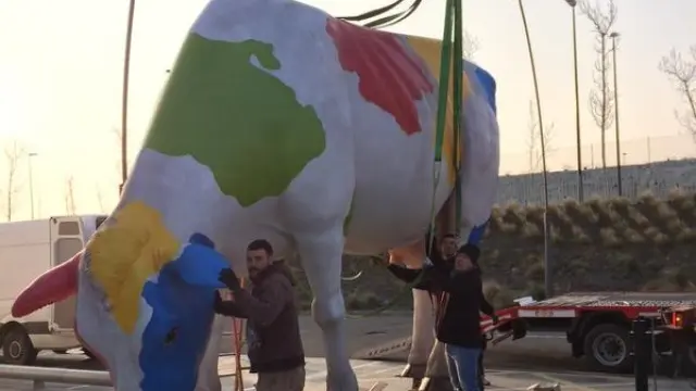 Las vacas más grandes de Europa llegan a Zaragoza