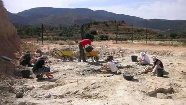 Trabajos paleontológicos en el yacimiento Barrihonda-El Humero