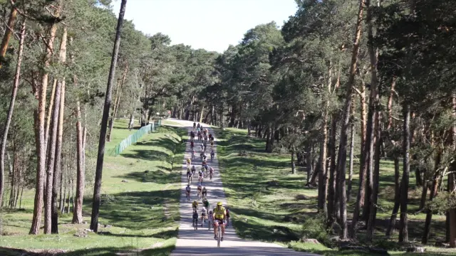 Un pelotón de ciclistas durante la celebración de la Histórica de Abejar 2015