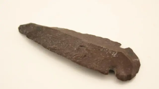 Hominidos de hace 3,3 millones de años usaron herramientas