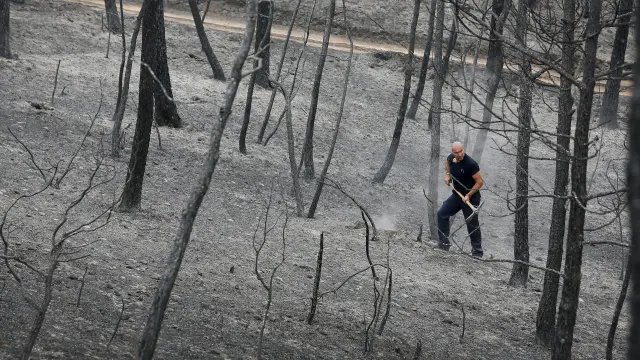 El fuego ha arrasado ya más de 1.000 hectáreas