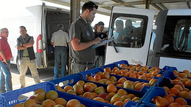 Actividad en Mercofraga al comienzo de la campaña de fruta de hueso.