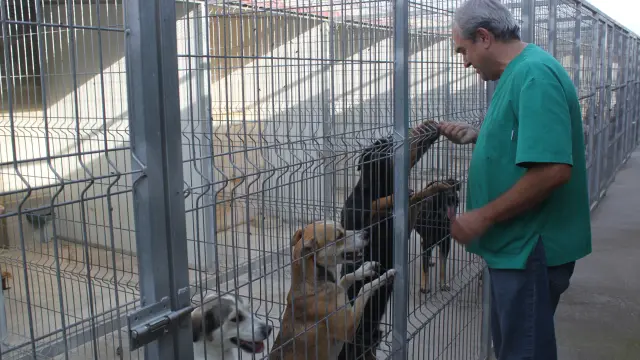 El responsable de la perrera, José Abarca en las instalaciones del centro.