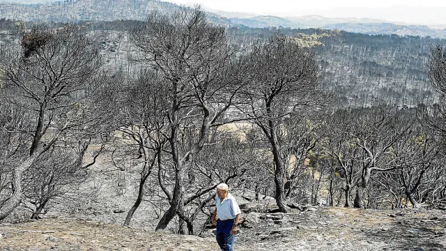 Un vecino, tras el incendio, en los montes de Orés.